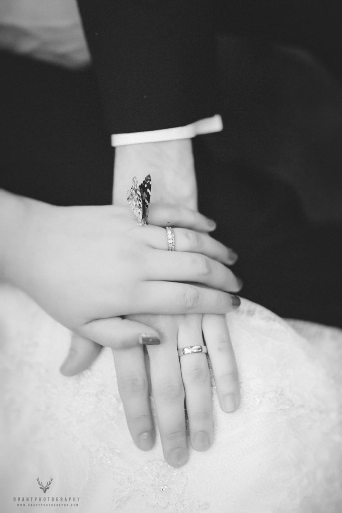 A Polson Park Wedding Butterfly