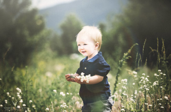 Vernon, BC Meadow