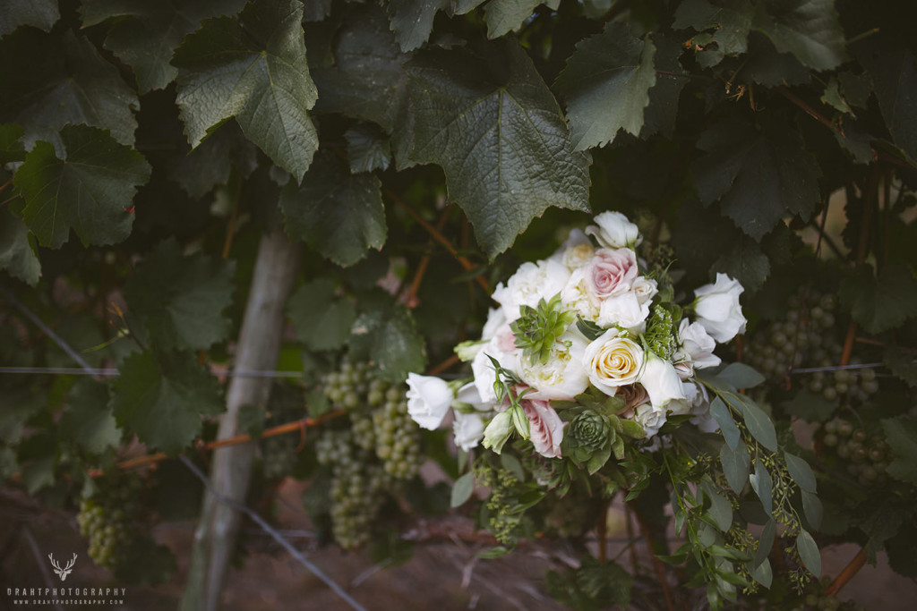 Turtle Mountain Winery Wedding