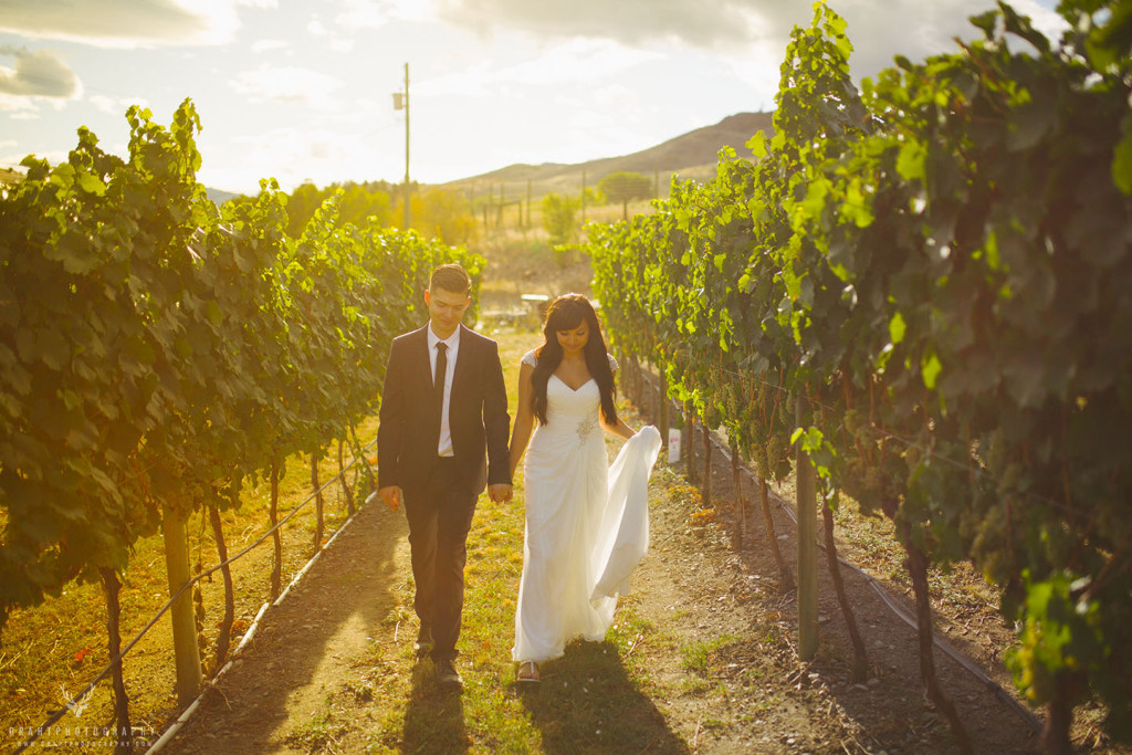 Turtle Mountain Winery Wedding