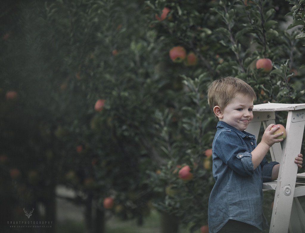 Vernon Family Photographer