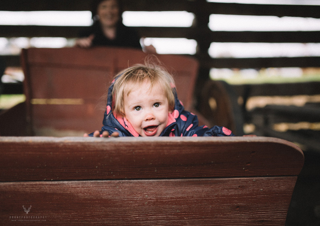 Vernon Family Photographer